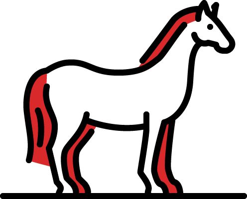 Cordero